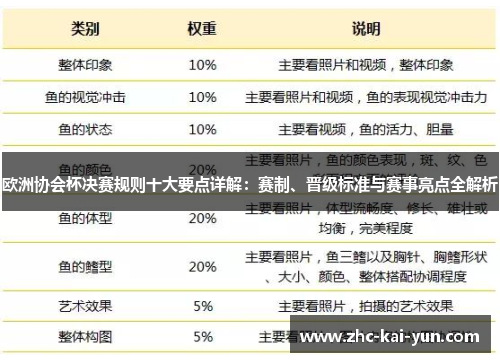 欧洲协会杯决赛规则十大要点详解：赛制、晋级标准与赛事亮点全解析