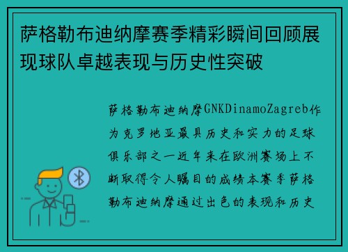 萨格勒布迪纳摩赛季精彩瞬间回顾展现球队卓越表现与历史性突破
