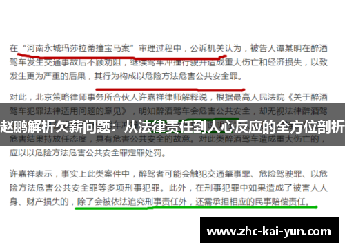 赵鹏解析欠薪问题：从法律责任到人心反应的全方位剖析